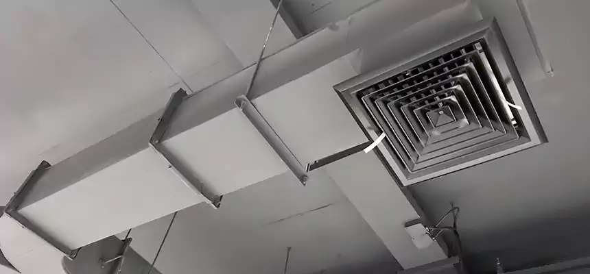 Restorative Allergy Relief Vent Cleaning – Coil, Blower & Housing Detail in Southgate