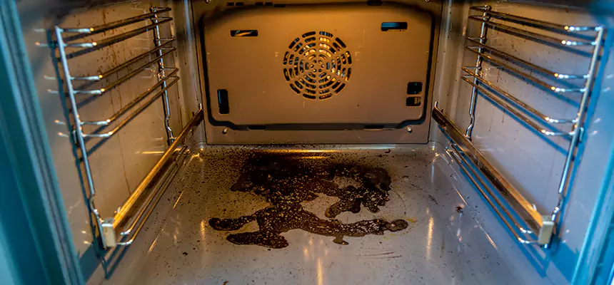 Our Dryer Vent Mold Cleaning Services in Southgate, MI