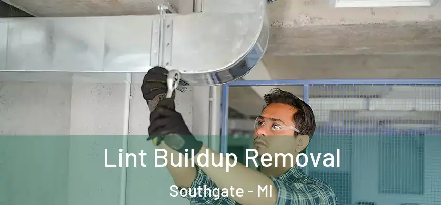  Lint Buildup Removal Southgate - MI