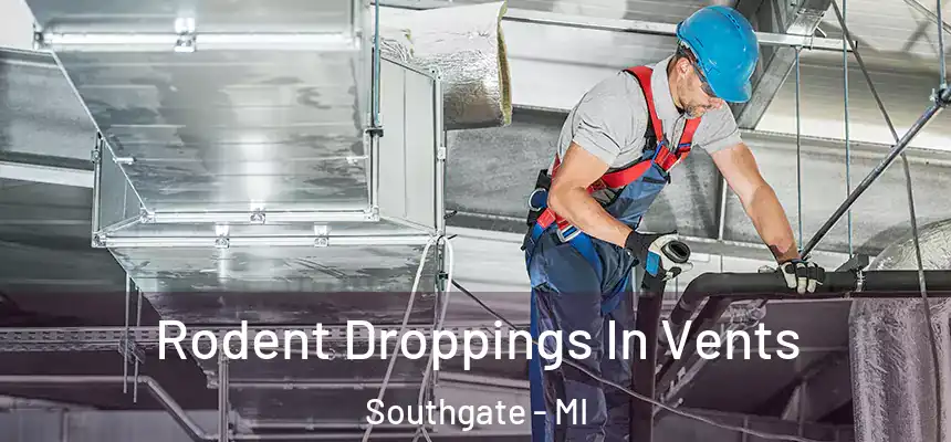  Rodent Droppings In Vents Southgate - MI