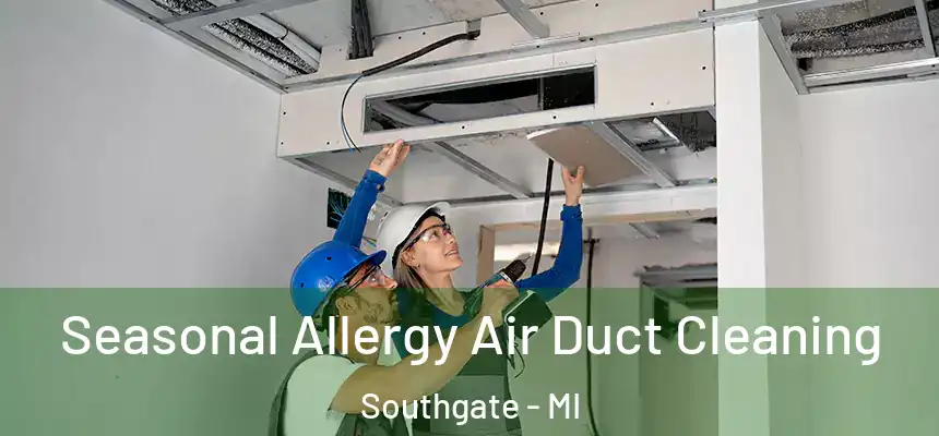 Seasonal Allergy Air Duct Cleaning Southgate - MI