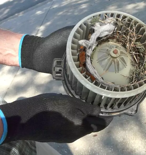 About Air Duct Rat Removal in Southgate, MI